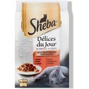 Sheba Sacht Fraic Delice Jr 50G X 6