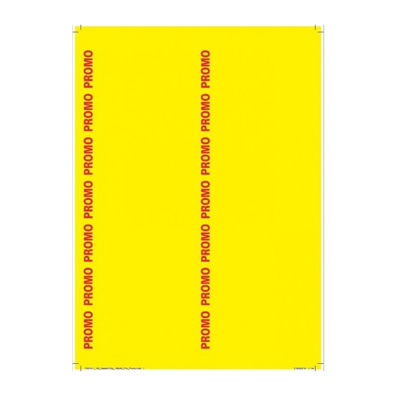 RBL DIFFUSION 12 Piquets Herbe Plastique