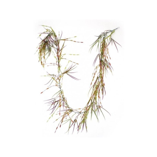 [3604074500069] RBL DIFFUSION Grinaldas Pteris Verde/Burg 12 unidades