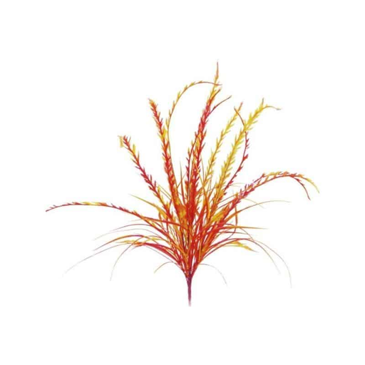 [3604074500168] RBL DIFFUSION 12 Estacas Pteris Laranja/Vermelho