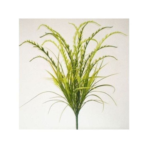 [3604074500175] RBL DIFFUSION 12 Estacas Pteris Verde 2 Tons