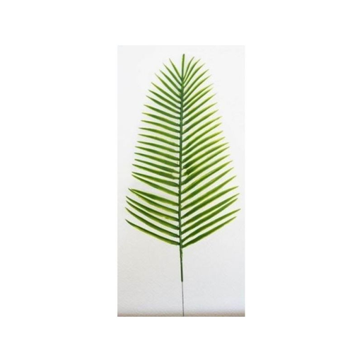 [3604074500182] RBL DIFFUSION Palme Canariensis Pm 48