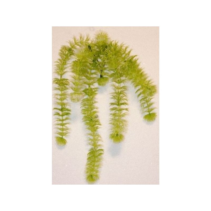 RBL DIFFUSION Mini Pendant Light White/Green 24