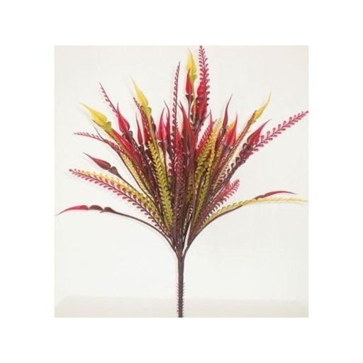 [3604074500267] RBL DIFFUSION 12 Pteris picks assorted