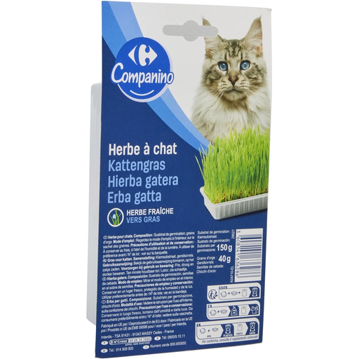 [3608141636286] CARREFOUR Erva para gatos COMPANINO 150 g