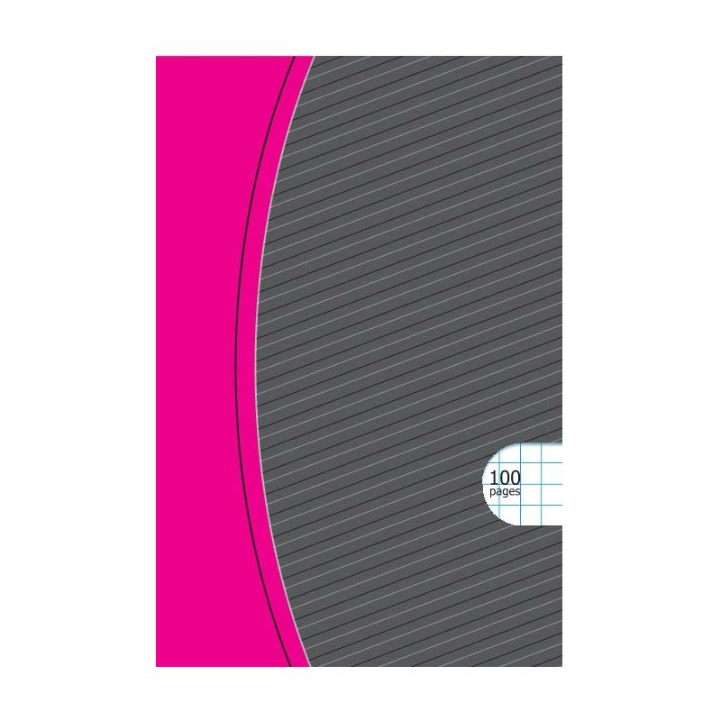 CARREFOUR Inner Notebook 9X14 100 Pages Polypropylene