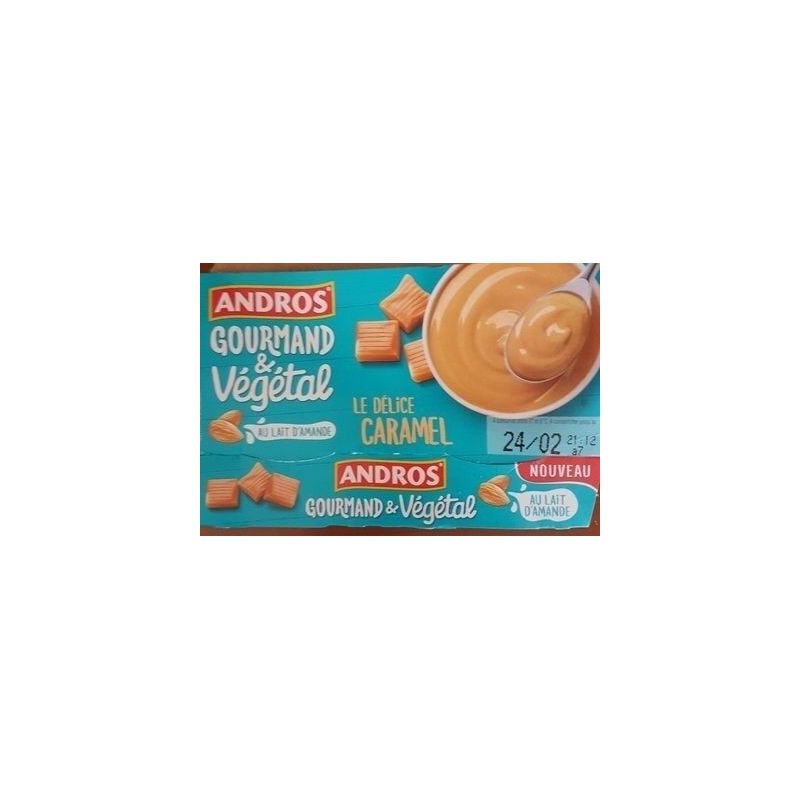 ANDROS Délice Végétal Caramel 2 x 120 g