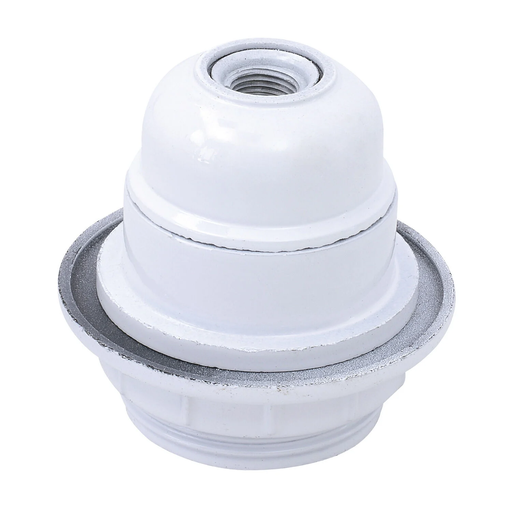 [3613865495781] CARREFOUR E27 Socket 4A 250V 1 unit