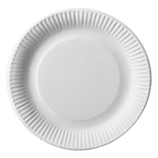 [3616182220180] Assiette blanche carton 23cm lote de 100