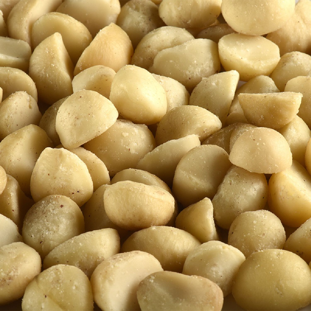 MACADAMIA Noix de BIO
