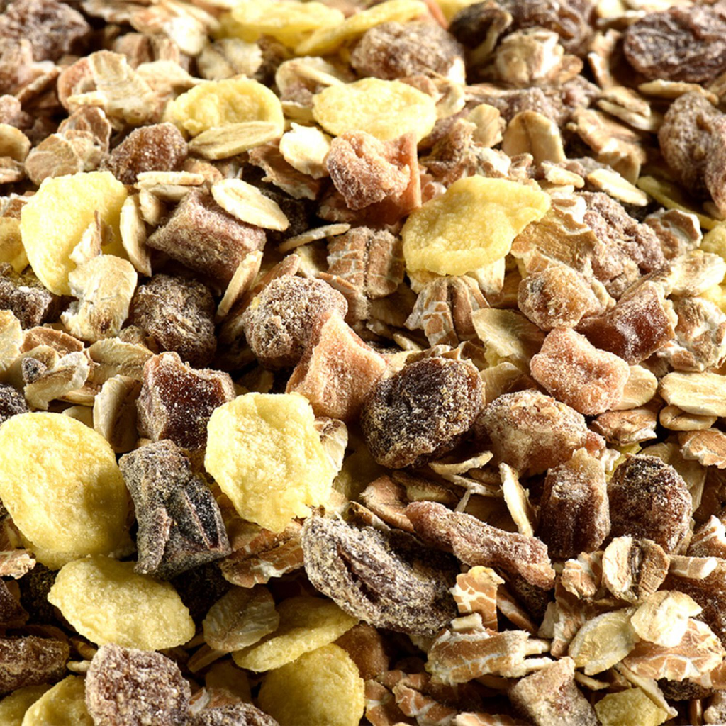 TRADITIONNEL Muesli fruits BIO