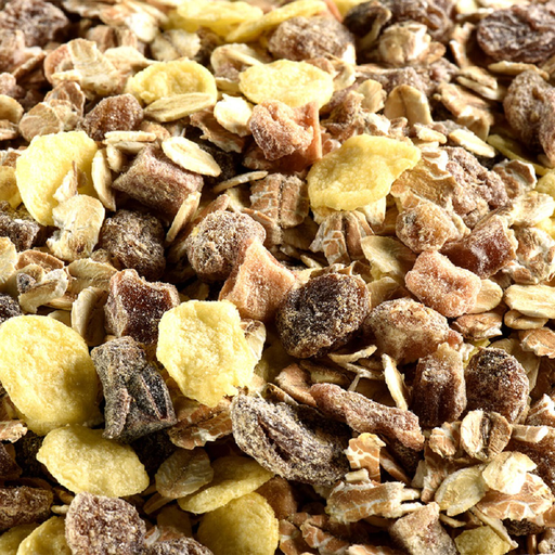 [3700146209394] TRADITIONNEL Muesli fruits BIO