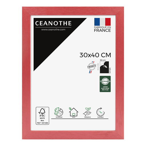 [3700426602525] CEANOTHE Tutti Frutti Cerise Frame 30x40