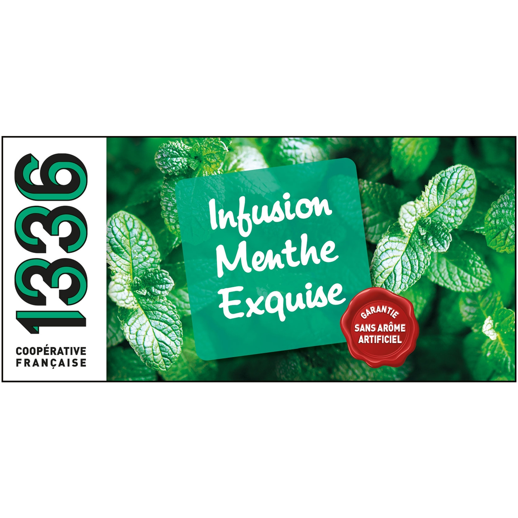 1336 Infusion Menthe Exquise 25 Sachets 37.5G