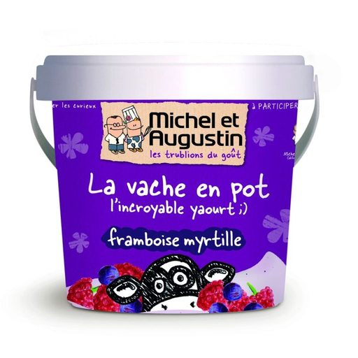 [3760122960954] MICHEL & AUGUSTIN Raspberry/Blueberry Yogurt 500 g