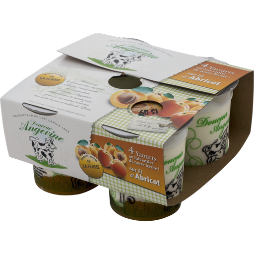 [3760182700330] D.ANG Whole Milk Yogurt with Apricot Bed 4 x 125 g
