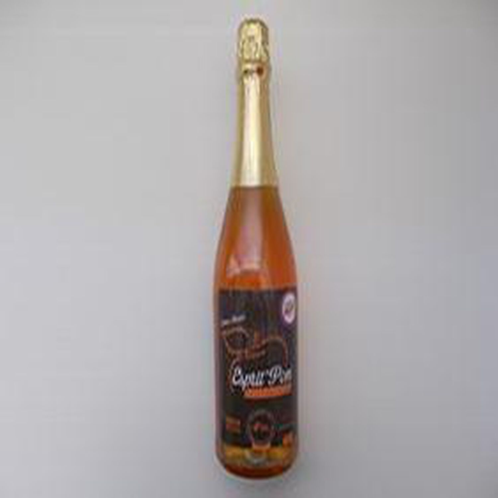 JUS ANJOU Sparkling Apple Juice, 75 cl