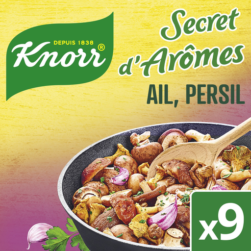 [3011360001252] KNORR Secret d'Arômes Garlic Parsley Seasoning 90g