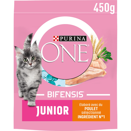 [5000161019656] PURINA ONE Kitten Chicken and Whole Grains Dry Food 450 g