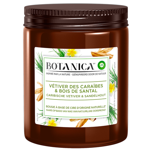 [5410036304815] AIR WICK Scented Candle Botanica Vetiver 1 unit