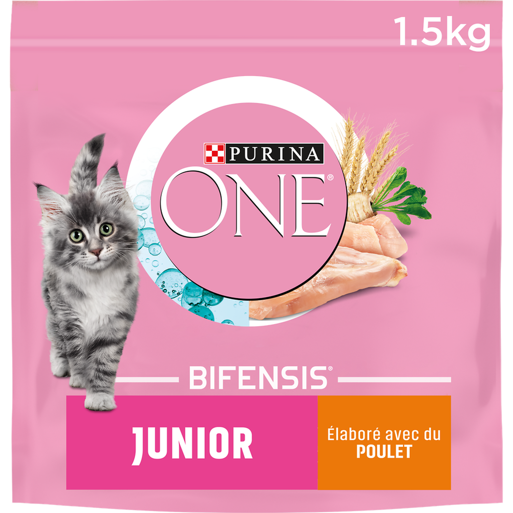 PURINA ONE Kitten Chicken and Whole Grains Dry Food 1.5 kg