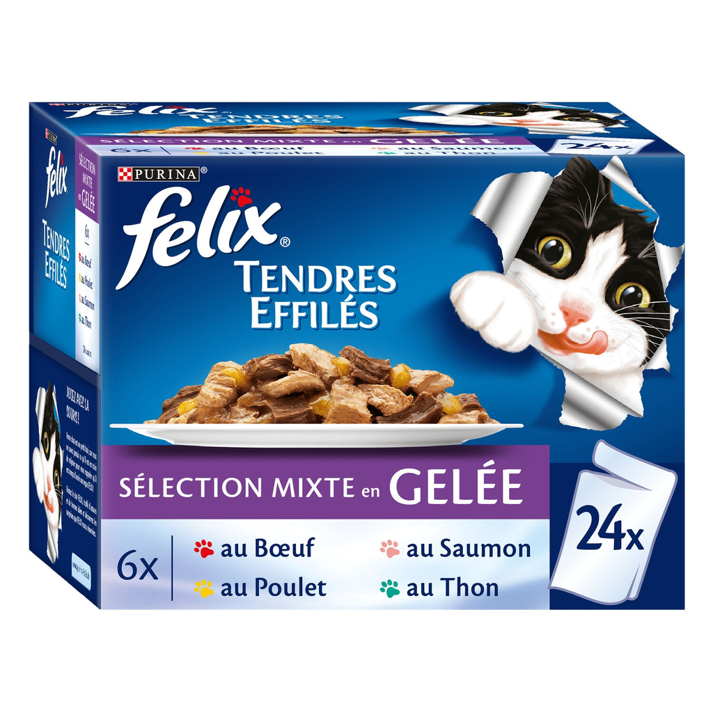 PURINA Cat food shreds meat and fish 24 pouches of 100 g