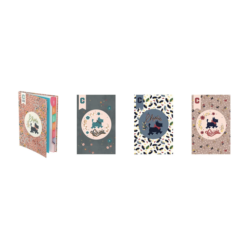 [3020120004488] CHIPIE Cahier de textes Chipigirl 16x22 188p 23-24 Ass