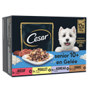CESAR Selection in Jelly meal for senior dogs 10+ 12 x 100 g