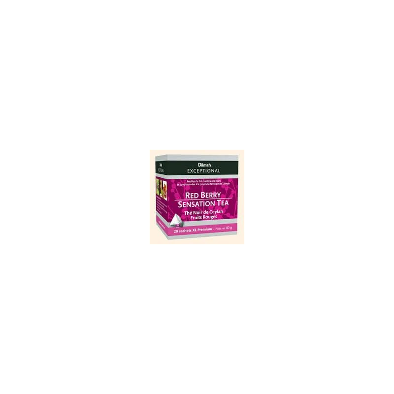 EPIDIS Black Tea Red Fruits Bag 40 g
