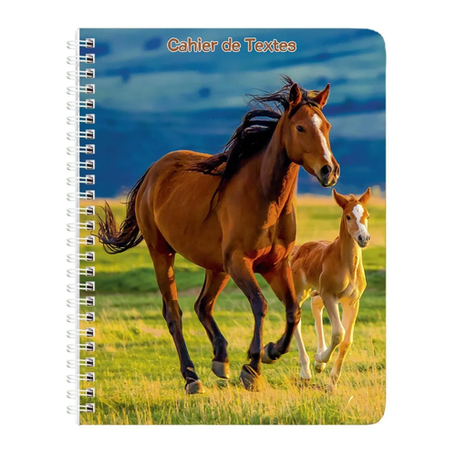 [3701406800184] ANIMAUX DOMESTIQUES Homework Diary 17x22cm 148p 1 day per page foal