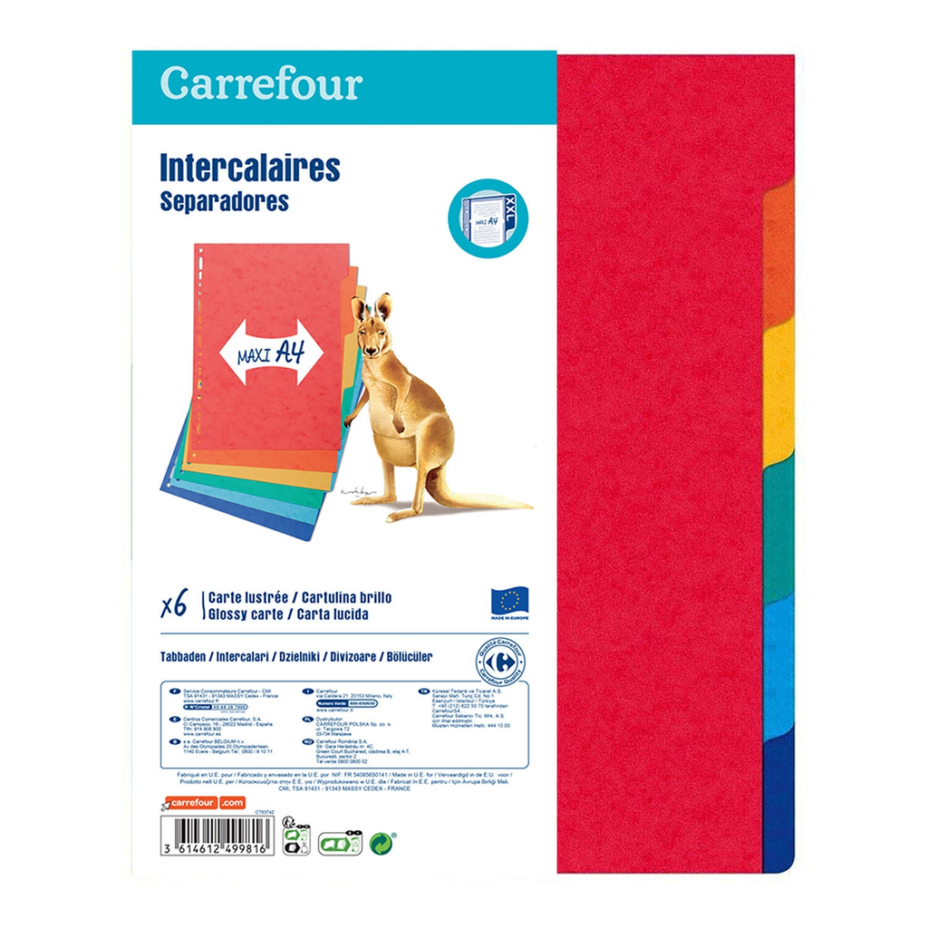 CARREFOUR Separadores A4 cartolina brilhante 6 posições, lote de 6
