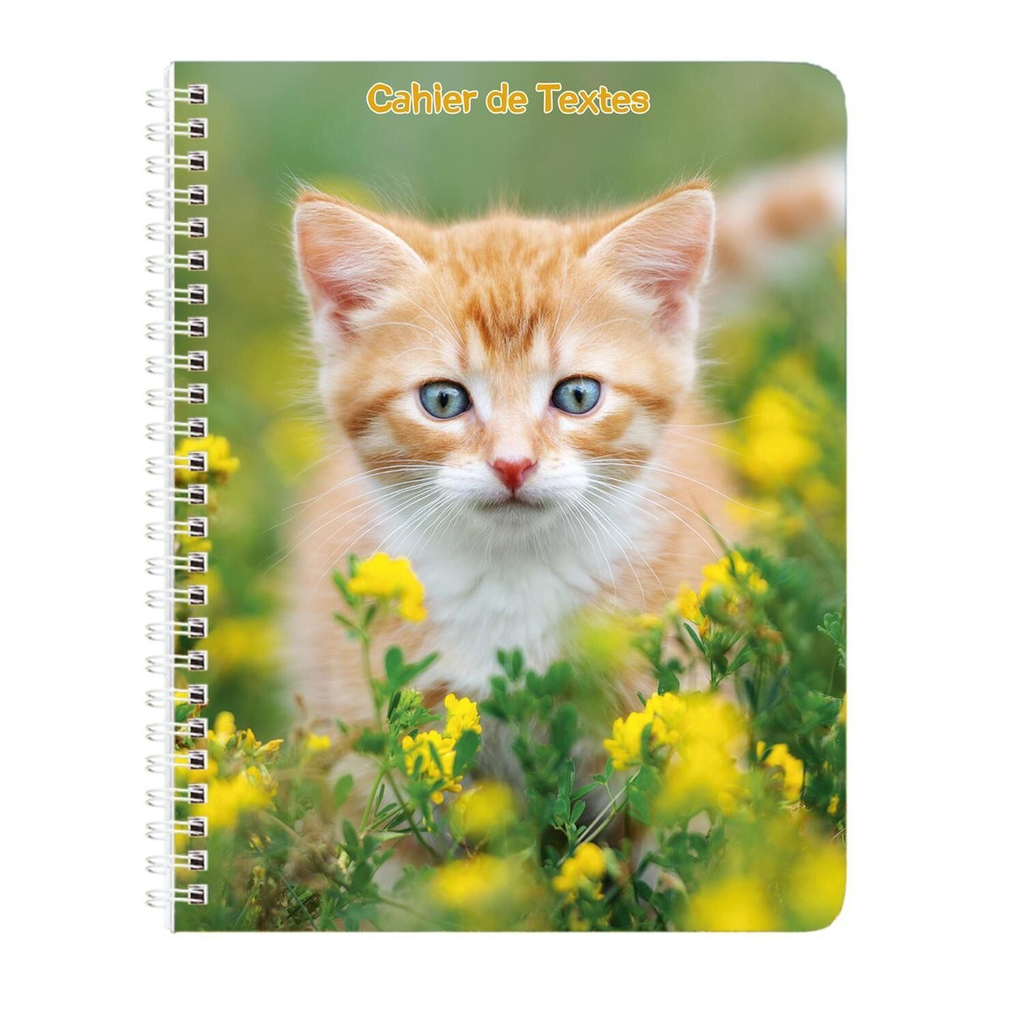 ANIMAUX DOMESTIQUES Cahier de texte 17x22cm 148p chien