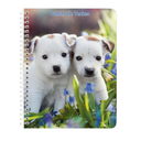 ANIMAUX DOMESTIQUES Cahier de texte 17x22cm 148p chaton