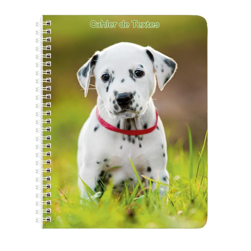[3701406800139] ANIMAUX DOMESTIQUES Homework Diary 17x22cm 148p kittens