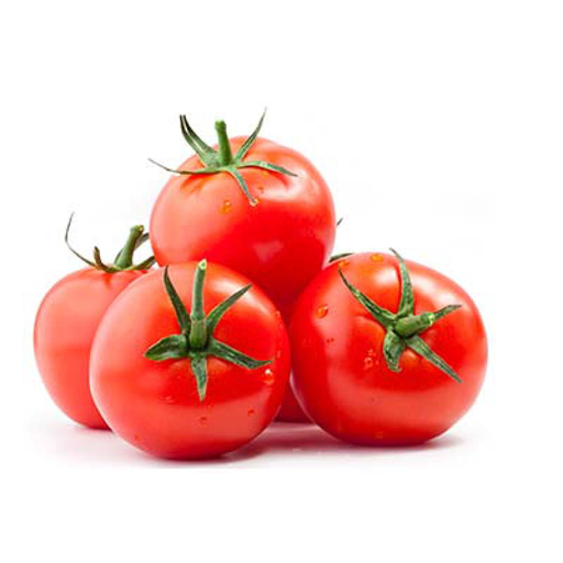 [0000000661389] Rebelion Tomato Bulk Cat 1