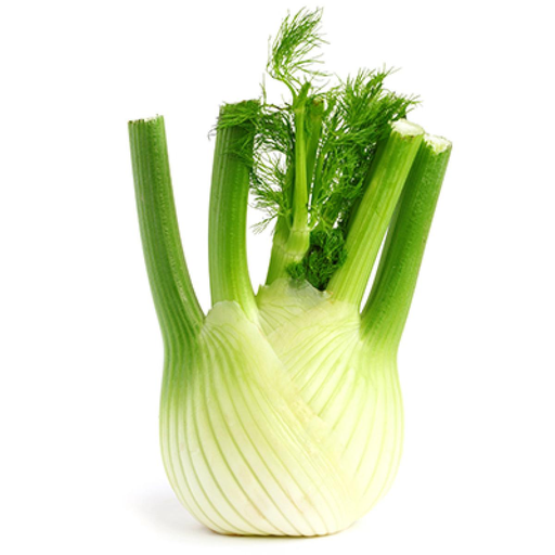 [0000000724120] FENOUIL Fennel C1 Italy 5 kg