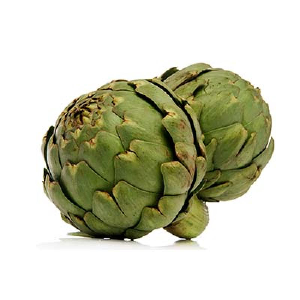 Artichoke Caliber 12 Spain