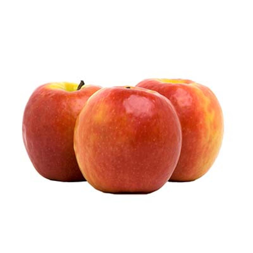 [0000000724526] POMME Clochard size 150/170