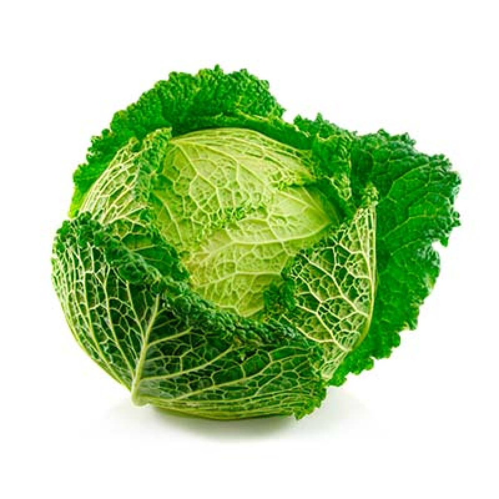 CHOU Couve Frisada Verde C1 França