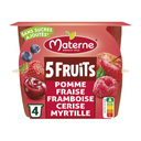 MATERNE Spécialité pomme fraise framboise cerise myrtille 4 x 100 g
