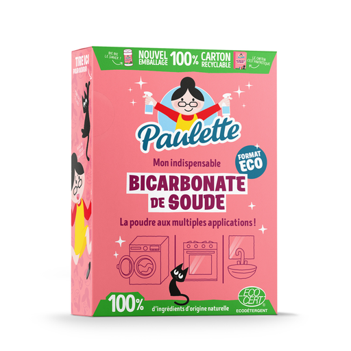 [3183940322528] PAULETTE Bicarbonate de soude Multi-Usage Sans Parfum 1 kg
