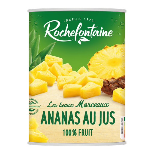 [3255693000371] ROCHEFONTAINE Ananas en morceaux au jus 567 g