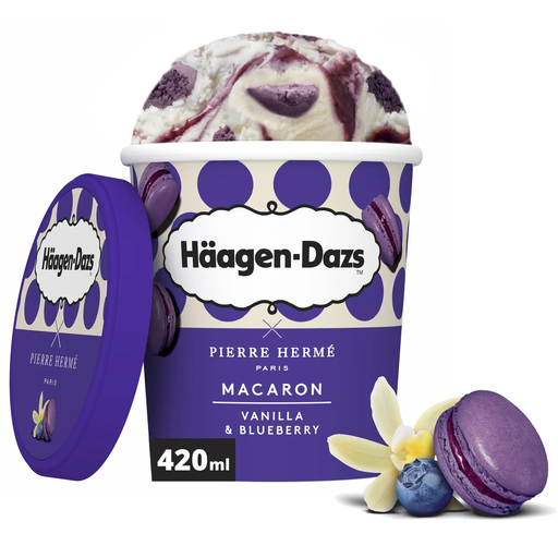 [3415583005712] HAAGEN-DAZS Ice cream macaron blueberry 420 ml
