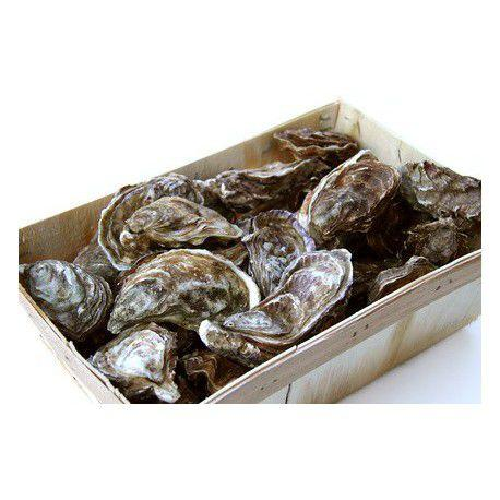Special Oysters N°3 24 pieces