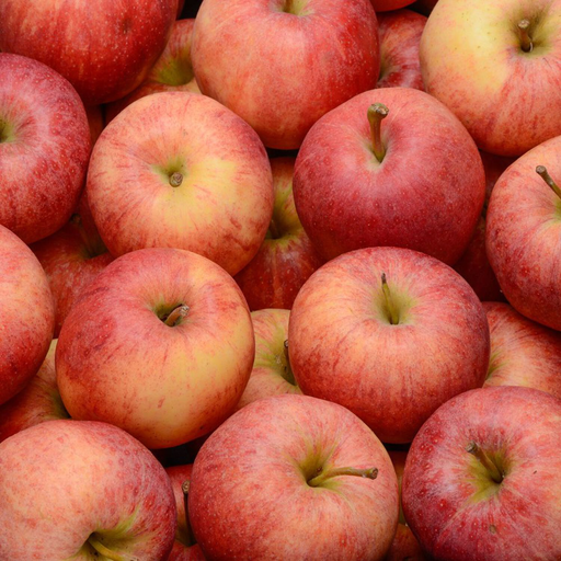 [3700530900456] FRUITS Pomme gala BIO barq 4F