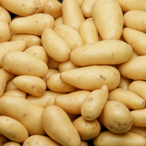 [3700530907844] GRENAILLE Organic Baby Potatoes 1.5 kg