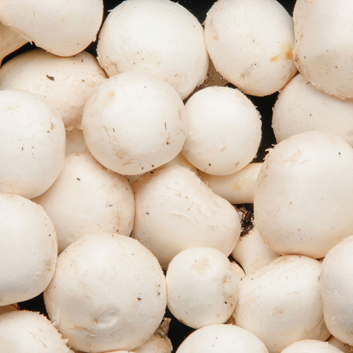 [3700626323145] White mushroom sliced, Category 1, Poland, 250 g