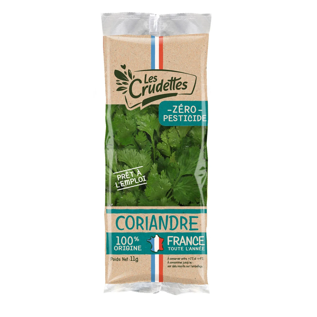 11G Coriandre Origine France