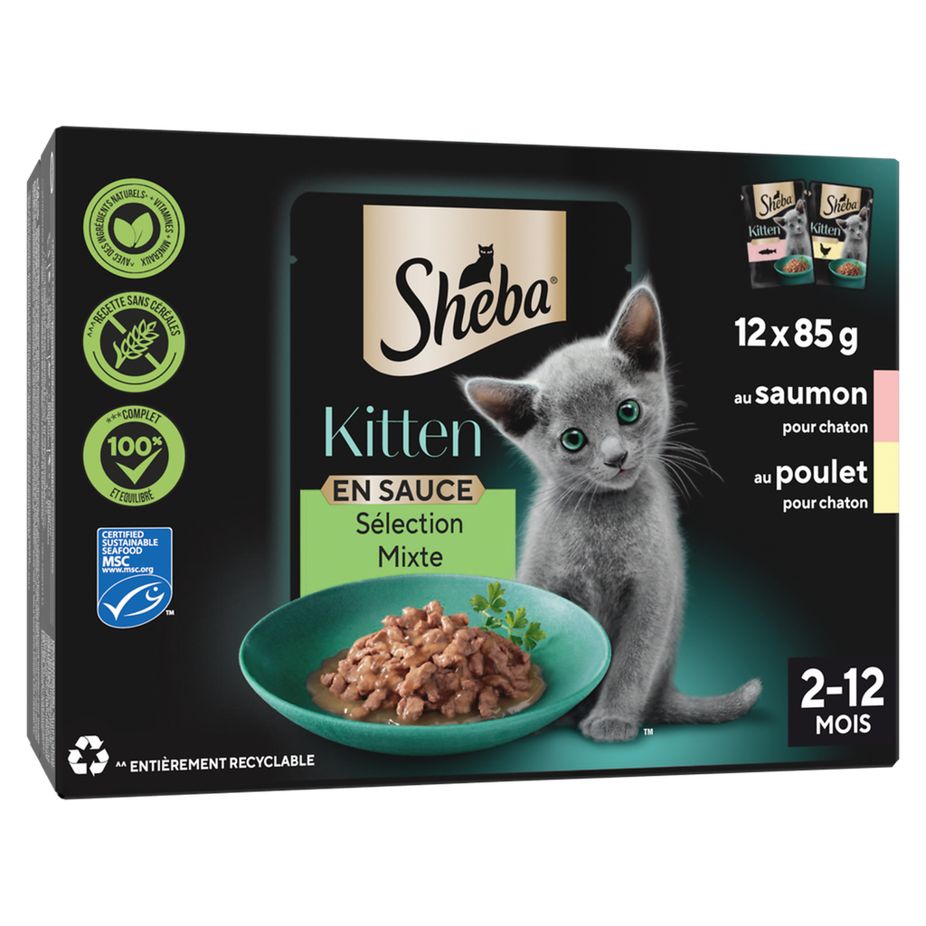 SHEBA Kitten Mixed Selection in Gravy with Salmon and Chicken 12 x 85g