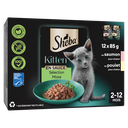 SHEBA Kitten Mixed Selection in Gravy with Salmon and Chicken 12 x 85g